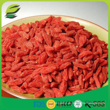 China goji Beere für Saft Tee Bio